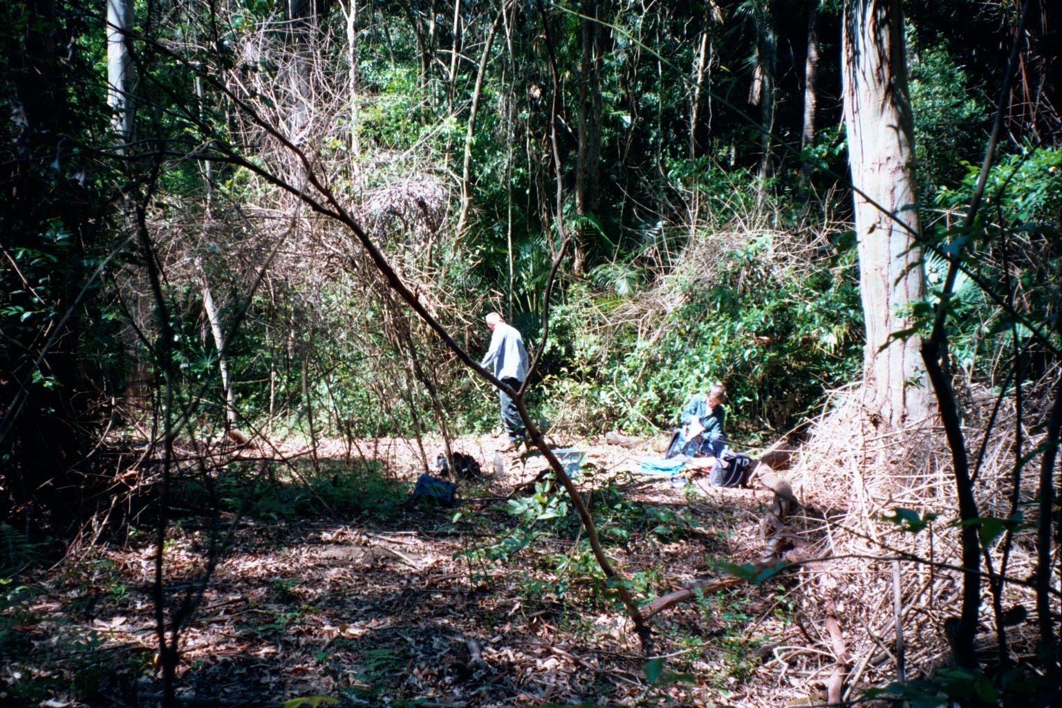 southfork rd, glenning valley