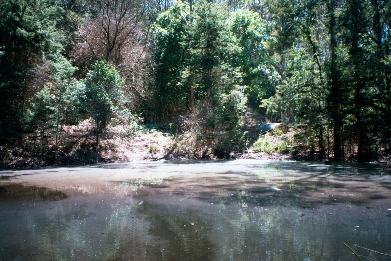 pond at glenning valley